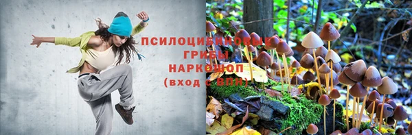 мескалин Шарыпово